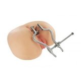 Anal-Spekulum - Spreizer des Anus