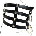 Halsband BDSM-Stellung - 4 Riemen