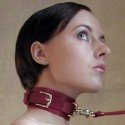 Halsband zur Versklavung und Unterwerfung: Das Basic + Leine