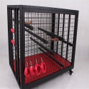 Cage pour soumis - meuble de donjon SM