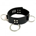 Die Grundlagen: Collier Crewneck Glattleder 3-Ring abschließbar