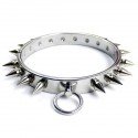 Vicious Hundehalsband mit Metall-Spikes, gotische