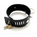 Leder Halsband mit roten elliptoid, Hechte und Ring